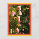 Suche nach klettern karten Rosa