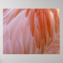 Suche nach abstraktes tier poster Rosa