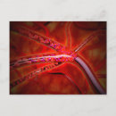 Suche nach hämoglobin poster Blutfluss