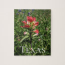 Suche nach indisch puzzle Fotografie