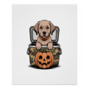 Suche nach brauner hund poster Welpe