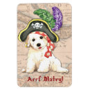 Suche nach bichon magnete Welpe