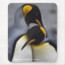 Suche nach pinguin liebe mousepads Tiere