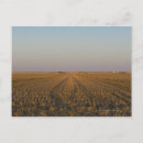 Suche nach kansas landschaft poster Feld