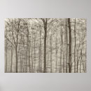 Suche nach fog poster Photography
