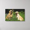 Suche nach keuchen poster Flach überzogenes goldenes