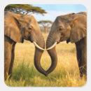 Suche nach afrikanisch aufkleber Safari