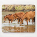 Suche nach pferd mousepads Braun