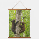 Suche nach bärenjunges poster Schwarzbär