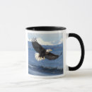 Suche nach weißkopfseeadler tassen Raubtier