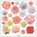 Suche nach orange rose aufkleber Schön