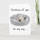 Suche nach lustige fehlst karten Traurig