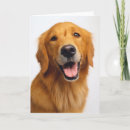 Suche nach golden retriever karten Niedlich