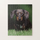 Suche nach dachshund puzzle Tier