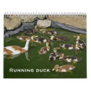 Suche nach ente kalender Entlein