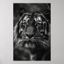 Suche nach fins poster Natur