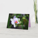 Suche nach phalaenopsis karten Lila