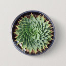 Suche nach kaktus blume buttons Blumen