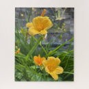 Suche nach lake tahoe puzzle Natur