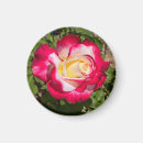 Suche nach gelbe rosen magnete Muttertag