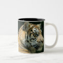 Suche nach sumatran tassen Zoo