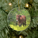 Suche nach wilde pferde ornamente Wildpferde