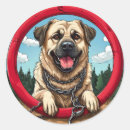 Suche nach reinrassig aufkleber Hund