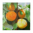 Suche nach pfirsich fliesen Früchte