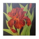 Suche nach flammen fliesen Rot