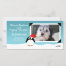 Suche nach pinguin fotokarten Weihnachten
