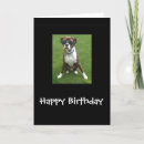 Suche nach boxer hunde karten Foto