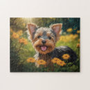 Suche nach yorkshire terrier puzzle Niedliche hunde