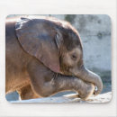 Suche nach elefant liebe mousepads Niedlich