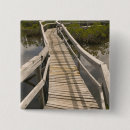 Suche nach bahamas buttons Tropisch