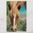 Suche nach pferd flyer Tier