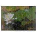 Suche nach frosch schneidebrettchen Niedlich