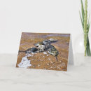 Suche nach stifte karten Foto