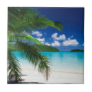 Suche nach paradies fliesen Palmen