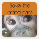 Suche nach orang utan aufkleber Tier