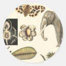 Suche nach gemalt aufkleber Schmetterling