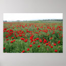 Suche nach rotes gras poster Natur