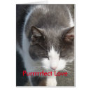 Suche nach nachdenklich postkarten Foto