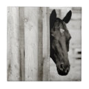 Suche nach schwarzes pferd fliesen Pony