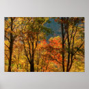 Suche nach fallen poster Herbst