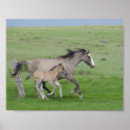 Suche nach spanisches pferd poster Senf