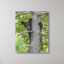 Suche nach wildlife leinwandbilder Superstock