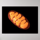 Suche nach ihre mitochondrien poster Horizontal