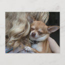 Suche nach wahre liebe postkarten Hund