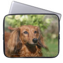 Suche nach dackel laptop schutzhüllen Zwergteckel