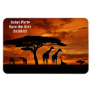 Suche nach safari magnete Giraffen